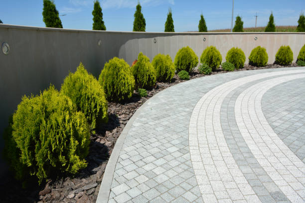 Best Custom Driveway Pavers  in Leesburg, GA